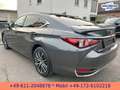 Lexus ES 300 h *STYLE-EDITION*PREMIUM-NAVI*SERVICE NEU* Gris - thumbnail 8