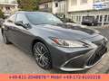Lexus ES 300 h *STYLE-EDITION*PREMIUM-NAVI*SERVICE NEU* Grau - thumbnail 5
