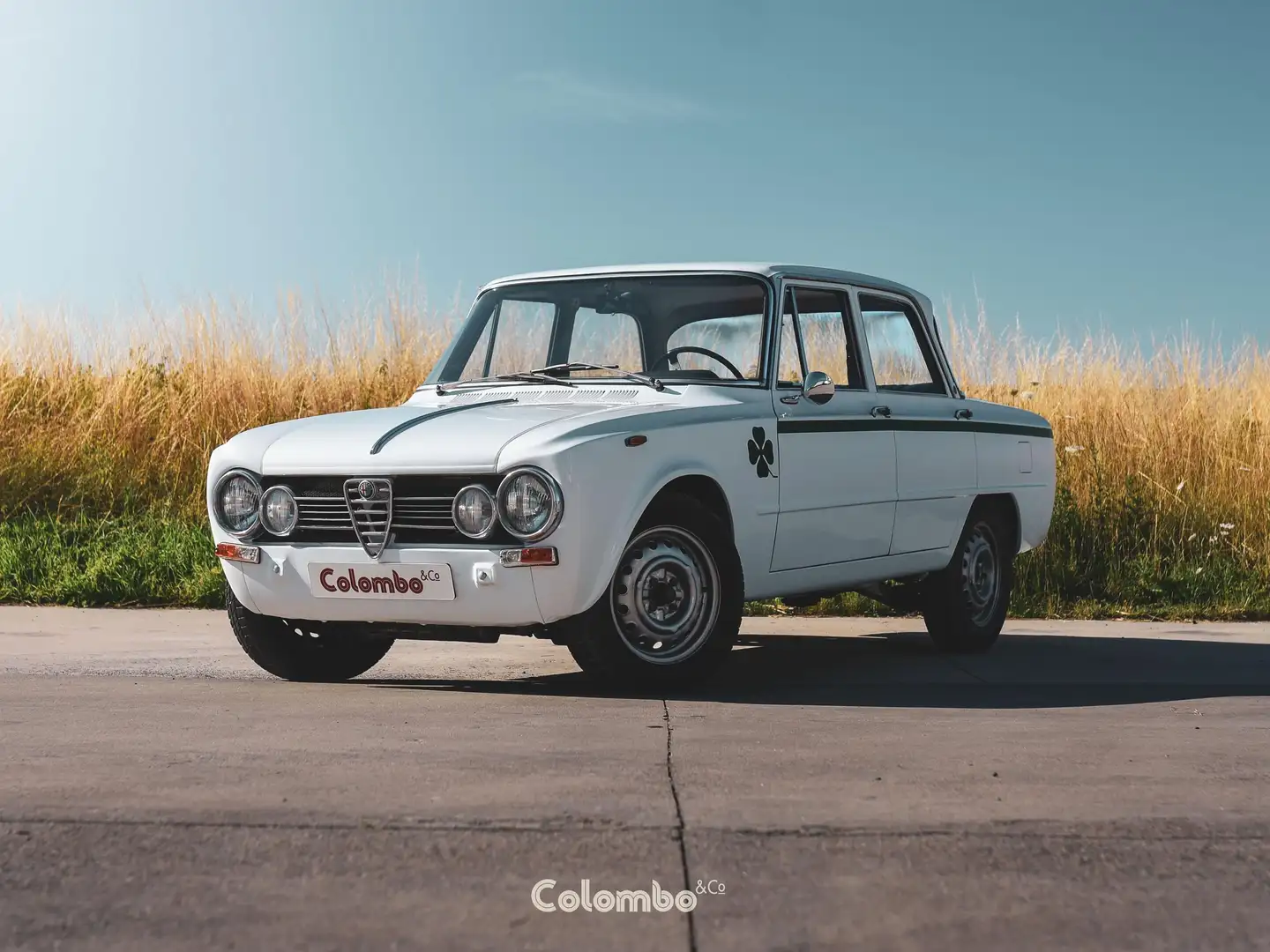 Alfa Romeo Giulia Super 1600 - 1750 Engine Weiß - 1