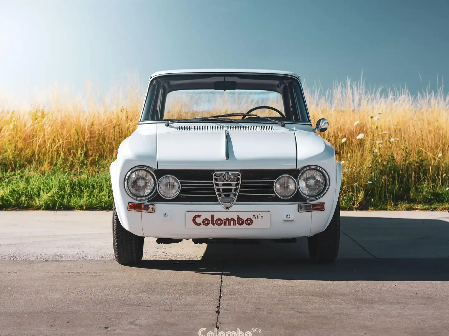 Alfa Romeo Giulia Super 1600 - 1750 Engine Weiß - 2