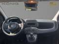 Fiat Panda MY25  Eurostar Klima PDC Noir - thumbnail 9
