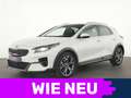 Kia XCeed Xdition JBL|Navi|Kamera|CarPlay|Bi-LED|PDC White - thumbnail 1