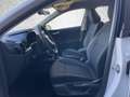 Skoda Fabia Essence 1.0 LED/Sitzhzg/Klima/ Weiß - thumbnail 9