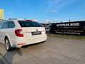 Skoda Superb 2.0 TDI DSG Combi Exclusive/BI-XENON/NAVI Weiß - thumbnail 18