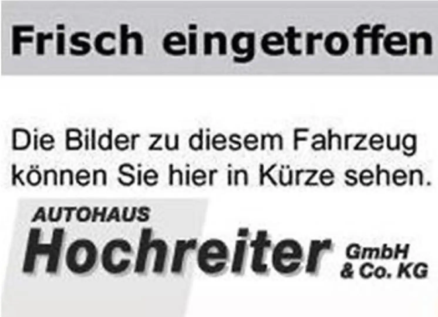 Ford C-Max Titanium, Allwetterreifen Grau - 1