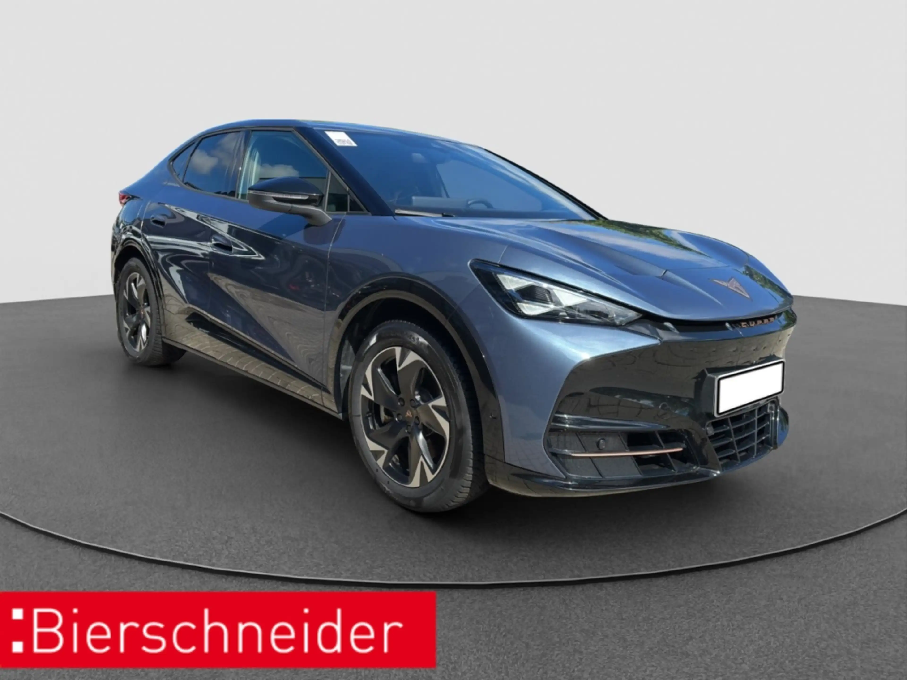 CUPRA Tavascan Endurance ALCANTARA NAVI REAR VIEW SHZ — photo 10