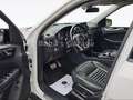 Mercedes-Benz GLE 350 d 4Matic AMG Standh. AHK Weiß - thumbnail 12