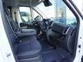 Fiat Ducato L2H1 / Snoeks 6-Sitzer / 10-Zoll-Navi Blanc - thumbnail 9