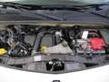 Renault Kangoo Expression Weiß - thumbnail 14