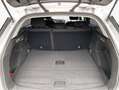 Renault Megane Grandtour TCe 140 GPF BUSINESS EDITION Grau - thumbnail 6