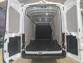 Ford Transit 350 96kW L4H3 Van Trend RWD MHEV Blanco - thumbnail 6