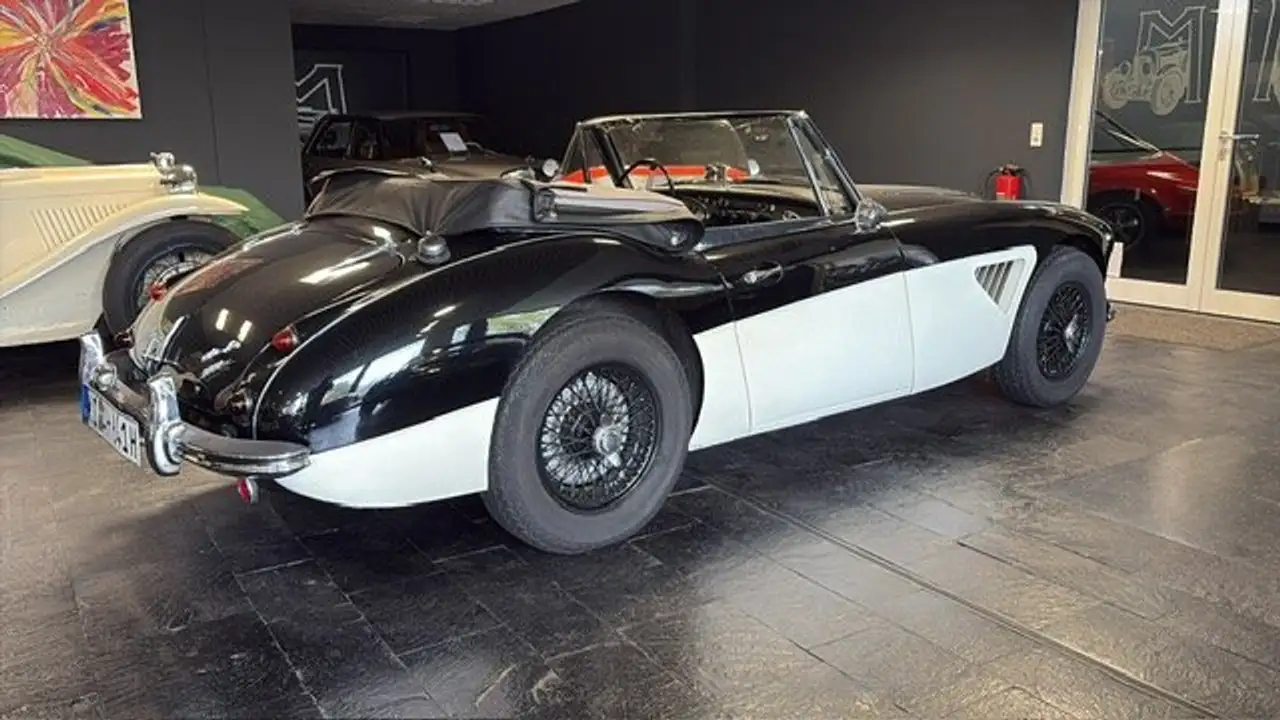Austin-Healey 3000 BJ7, foto 4