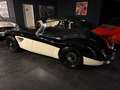 Austin-Healey 3000 BJ7 Negro - thumbnail 11