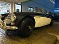 Austin-Healey 3000 BJ7 Negro - thumbnail 7