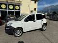 Fiat Panda Panda 0.9 t.air t. natural power Easy 80cv my19 Alb - thumbnail 2