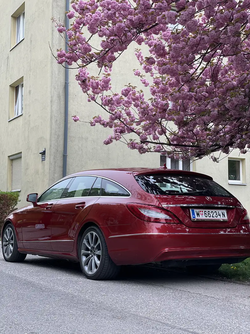 Mercedes-Benz CLS 220 BlueTEC Shooting Brake Aut. - 2