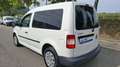 Volkswagen Caddy 1.9TDI Life Blanc - thumbnail 4