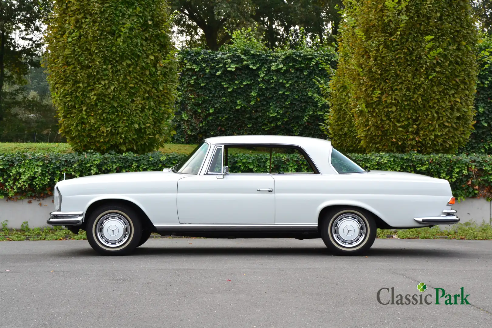 Mercedes-Benz 280 SE Alb - 2