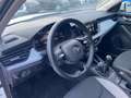 Skoda Kamiq 1.0 TSI 116 BV6 SELECTION Caméra Blanc - thumbnail 12