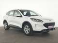 Ford Kuga Cool&Connect Navi|CarPlay|PDC|SHZ|Tempomat Weiß - thumbnail 4