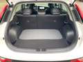 Kia Niro 1.6 HEV 129 DCT VIS Komfort ACC+SHZ+2xKlima+LM Weiß - thumbnail 16
