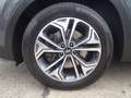Hyundai SANTA FE 2.2 Premium 4WD Inspektionspaket BigDeal Vert - thumbnail 3