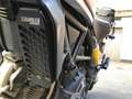 Ducati Scrambler Blanco - thumbnail 6