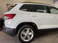 Skoda Karoq Karoq 2,0 TDI SCR 4x4 Sportline Sportline Weiß - thumbnail 6