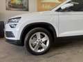 Skoda Karoq Karoq 2,0 TDI SCR 4x4 Sportline Sportline Weiß - thumbnail 2