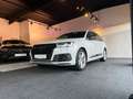 Audi SQ7 4.0 TDI Quattro ab229€ monatlich Weiß - thumbnail 23