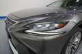 Lexus LS 500 500h Executive AWD Grau - thumbnail 10