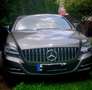 Mercedes-Benz CLS 350 Shooting Brake CDI 4Matic DPF B.EFF 7G-TR Edition - thumbnail 4
