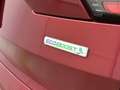 Ford Kuga 1.5 EcoBoost Titanium 120pk,Camera A,Apple Carpl,C Rouge - thumbnail 25