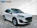 Ford Kuga PHEV Vignale Panoramadach Navi Kamera Leder Bianco - thumbnail 22