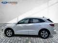 Ford Kuga PHEV Vignale Panoramadach Navi Kamera Leder Bianco - thumbnail 12
