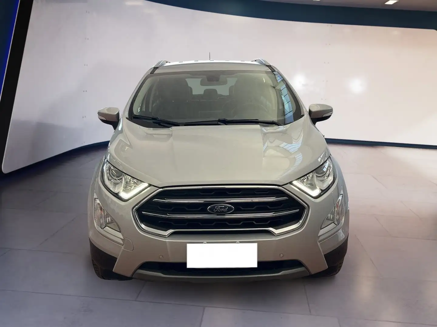 Ford EcoSport 2018 1.0 ecoboost Titanium s&s 125cv auto my19 Grigio - 1