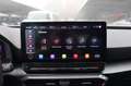 CUPRA Leon Leon Sportstourer 2.0 TSI VZ Navi/Kamera/LED/LM Schwarz - thumbnail 21