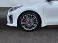 Kia ProCeed / pro_cee'd GT 1.6 T-GDI El. Panodach Navi Leder Digitales Coc Wit - thumbnail 14