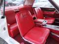 Ford Thunderbird USA 1965 NW INT 390 CU V8 AUT UNIEKE STAAT Blanc - thumbnail 15