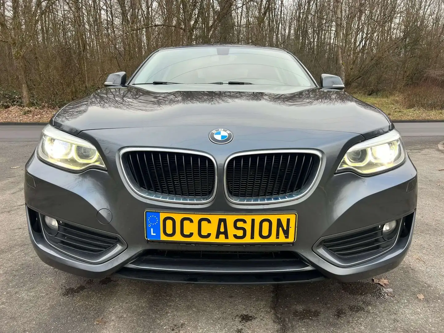 BMW 218 d Coupe Sport Line Cuir Navi Jante LED Gris - 2