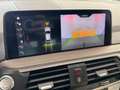 BMW X4 xDrive 30iA Grigio - thumbnail 10