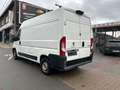 Peugeot Boxer 2.0 BlueHDi H2 L2 Wit - thumbnail 3