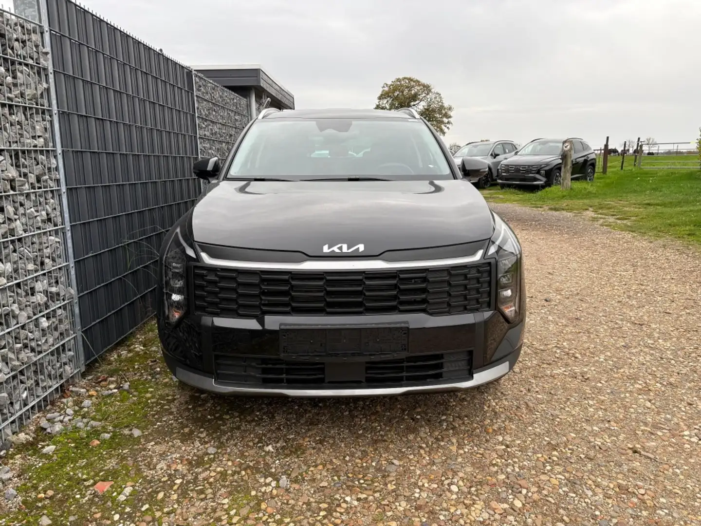 Kia Sportage 150 T-GDI DCT MY26 ACC BCA Keyless 18" TLeder Schwarz - 2