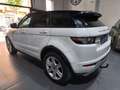 Land Rover Range Rover Evoque 2.2L TD4 Pure Tech 4x4 Aut. Blanco - thumbnail 6