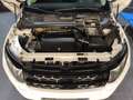 Land Rover Range Rover Evoque 2.2L TD4 Pure Tech 4x4 Aut. Blanco - thumbnail 17