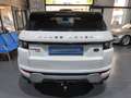 Land Rover Range Rover Evoque 2.2L TD4 Pure Tech 4x4 Aut. Blanco - thumbnail 5
