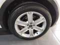 Land Rover Range Rover Evoque 2.2L TD4 Pure Tech 4x4 Aut. Blanco - thumbnail 20