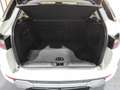 Land Rover Range Rover Evoque 2.2L TD4 Pure Tech 4x4 Aut. Blanco - thumbnail 16