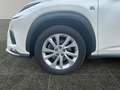 Lexus NX 300h F-Sport Hybrid Aut. inkl. Anhängevorrichtung und Weiß - thumbnail 15
