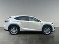 Lexus NX 300h F-Sport Hybrid Aut. inkl. Anhängevorrichtung und Weiß - thumbnail 6